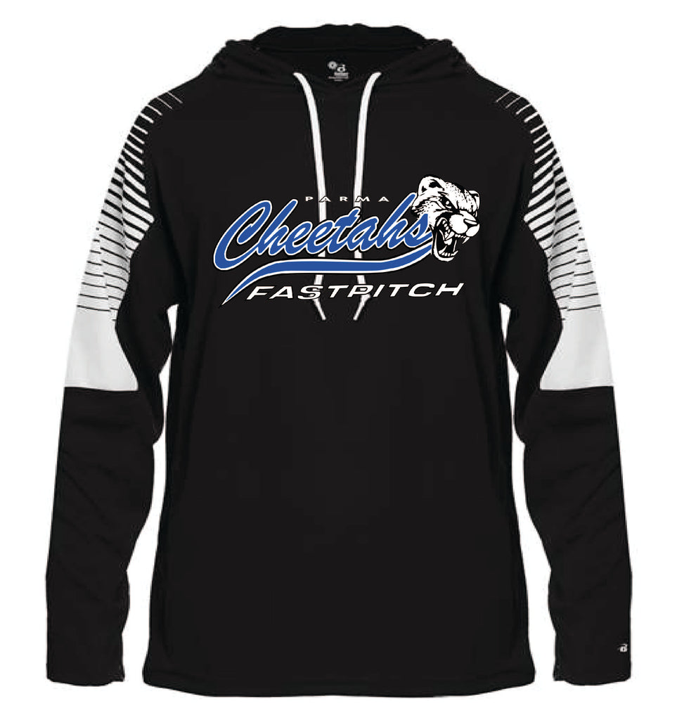 Cheetahs Fastpitch line up hoodie