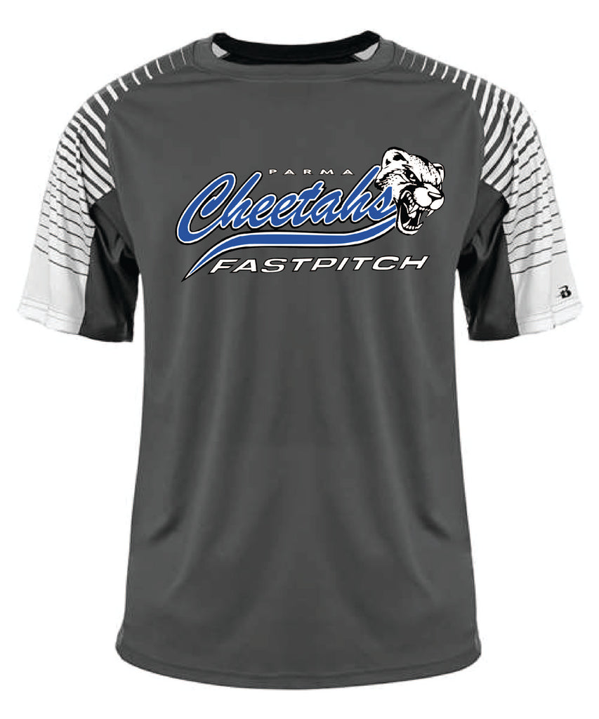 Cheetahs Fastpitch line up tshirt