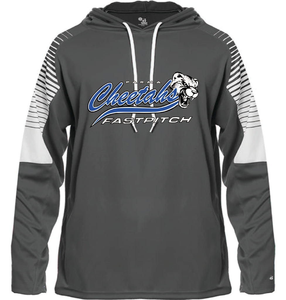 Cheetahs Fastpitch line up hoodie